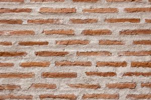 Terra Méditerranée